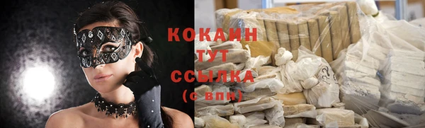 соль ск Богданович