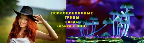 прущие крисы Богородицк