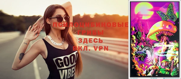 apvp Белокуриха