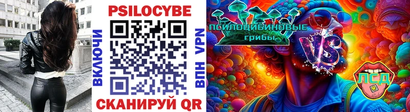 Псилоцибиновые грибы Cubensis  Вязьма 