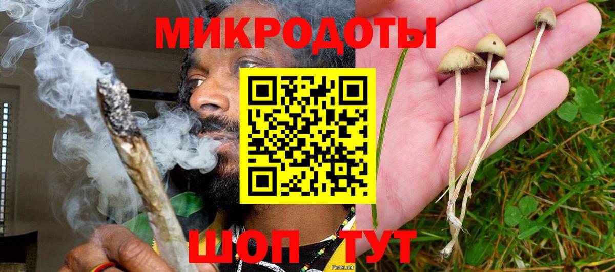 Галлюциногенные грибы Magic Shrooms Вязьма
